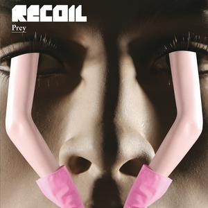 Recoil Prey 7"